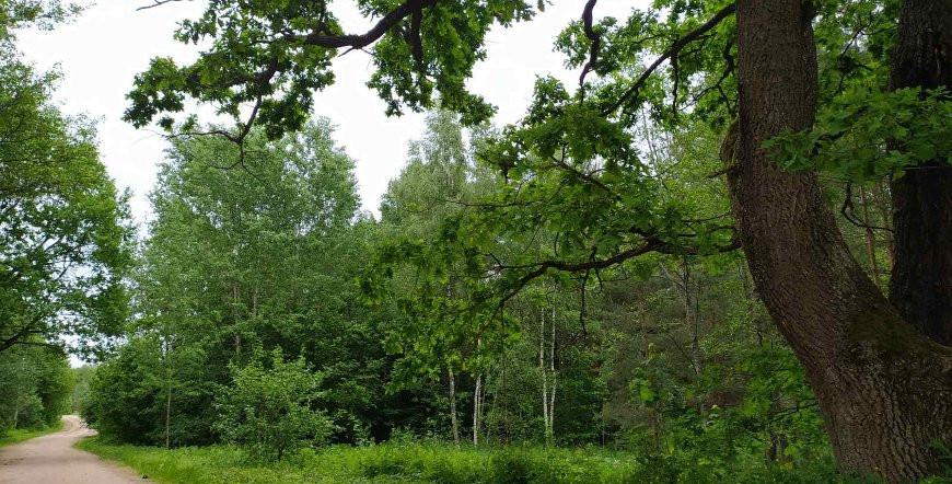 Ограничения на посещение лесов действуют в Гродненской области