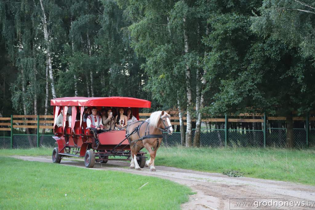 IMG_5592.JPG