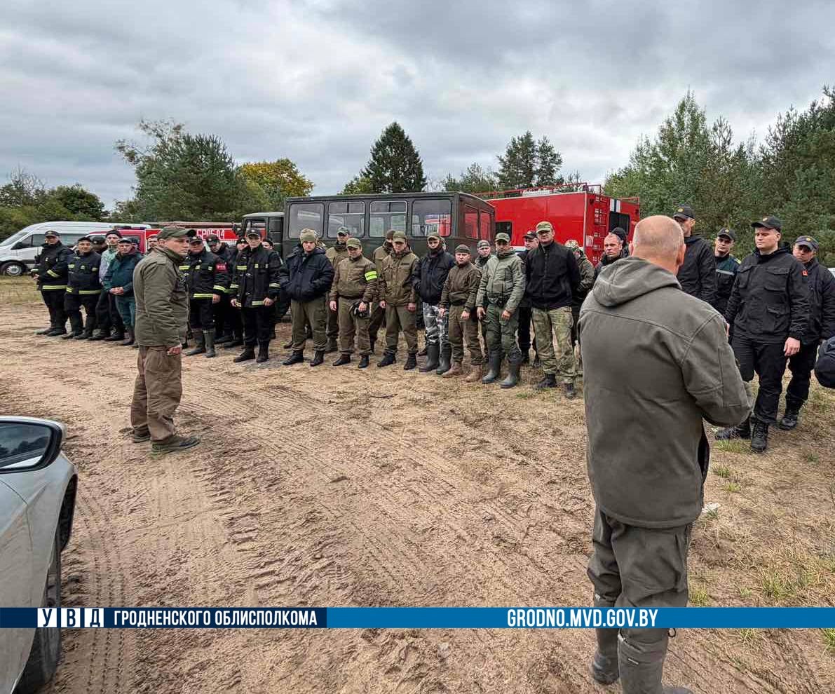 В Свислочском районе ведутся поиски пропавшего грибника