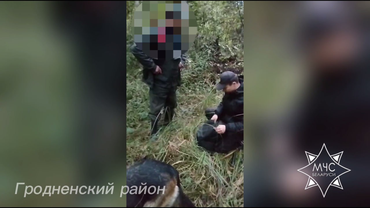 Спасатели помогли выйти из леса заблудившимся в Гродненской области людям