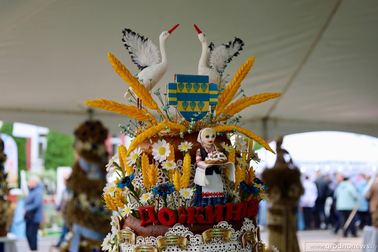 photo_2026-09-26_13-18-02.jpg