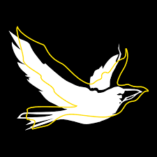 Белая Ворона