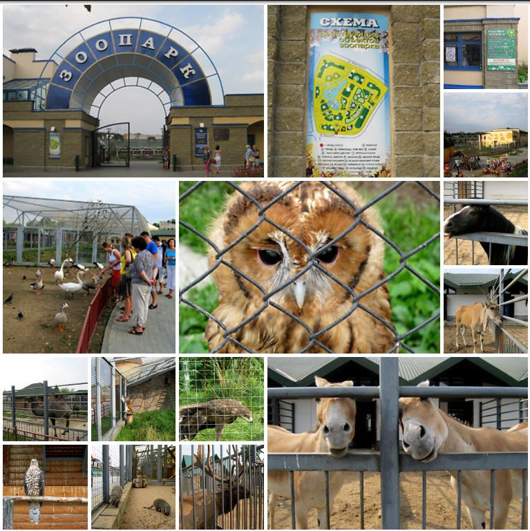 Зоопарк