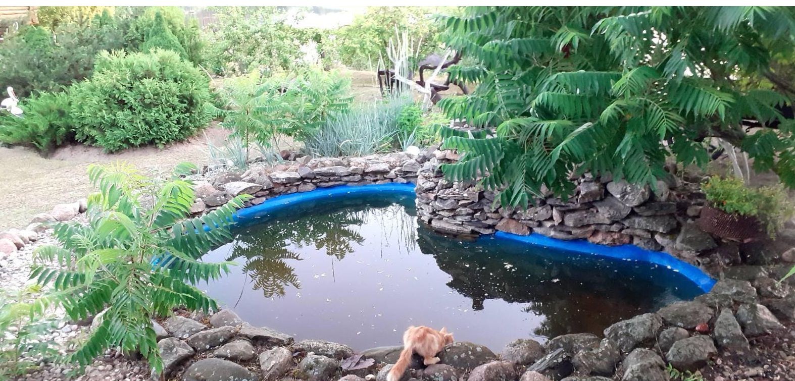 Новоселки над Неманом