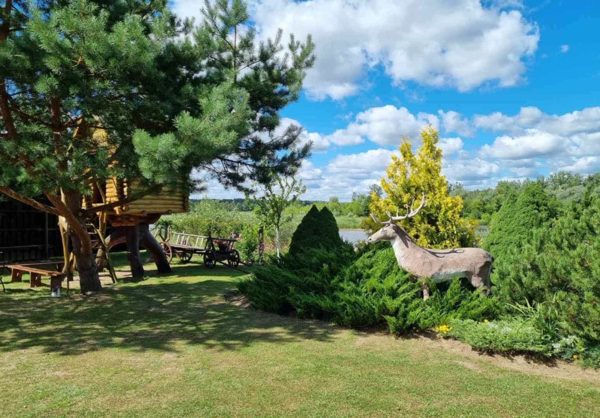 Новоселки над Неманом