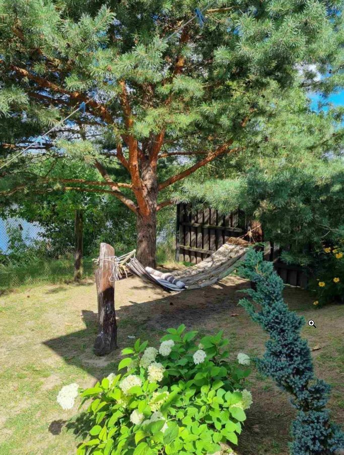 Новоселки над Неманом