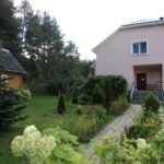 Сосновая опушка