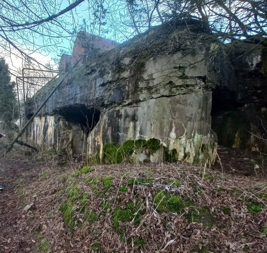 Форты № 6 и 7